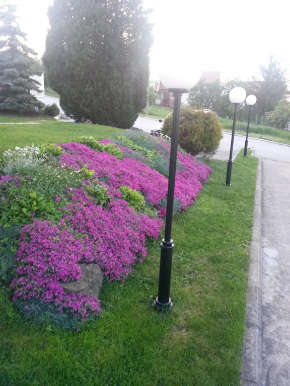 B&B Vila Vidikovac Arandjelovac Exterior foto