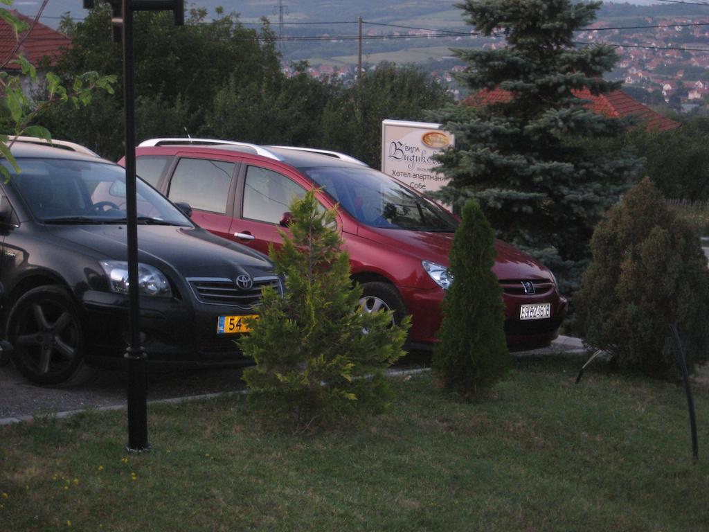 B&B Vila Vidikovac Arandjelovac Exterior foto