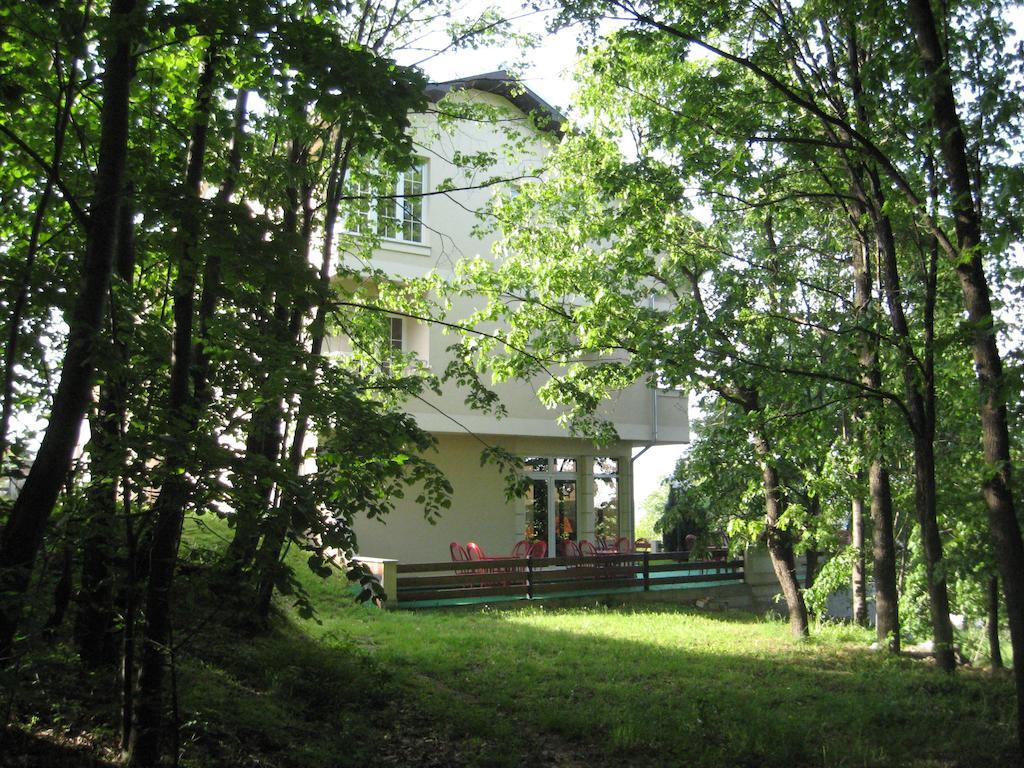 B&B Vila Vidikovac Arandjelovac Exterior foto