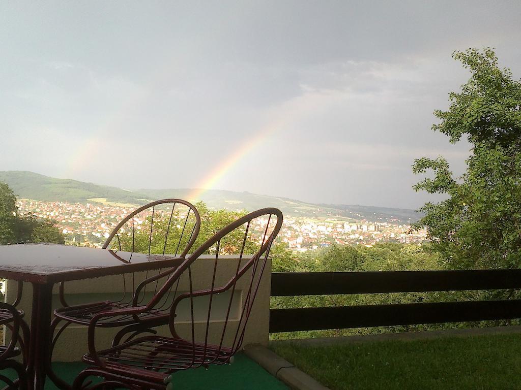 B&B Vila Vidikovac Arandjelovac Exterior foto