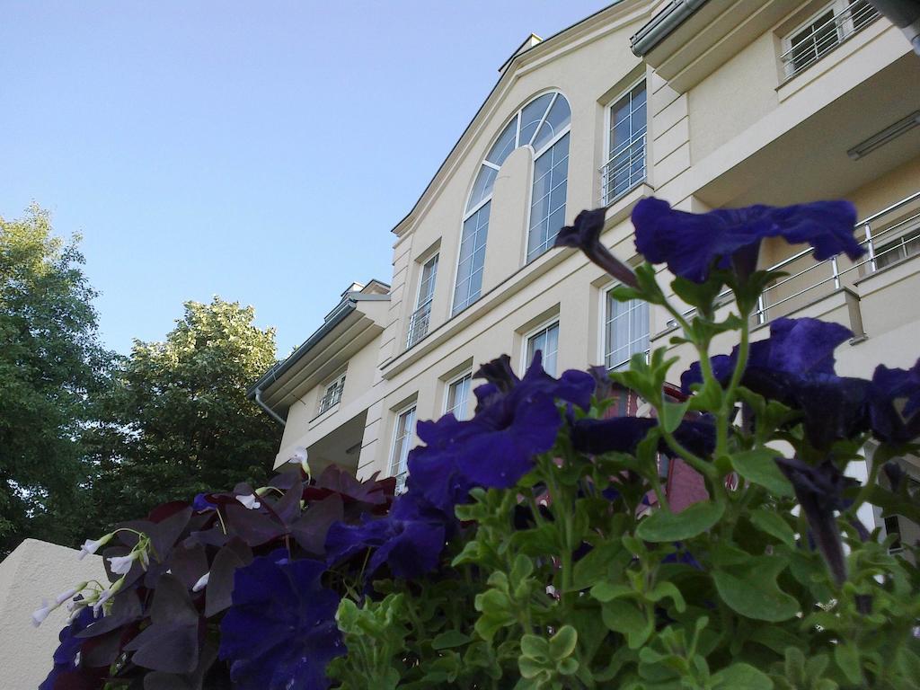 B&B Vila Vidikovac Arandjelovac Exterior foto