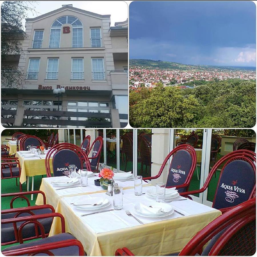 B&B Vila Vidikovac Arandjelovac Exterior foto